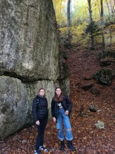 IMG_20241024_095320162