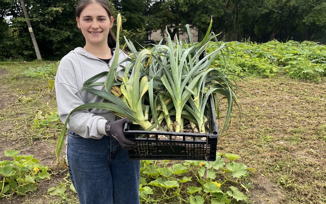 Jesień w naszej szkole